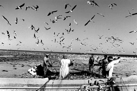 Italian Photojournalism: Giovanni Mereghetti 